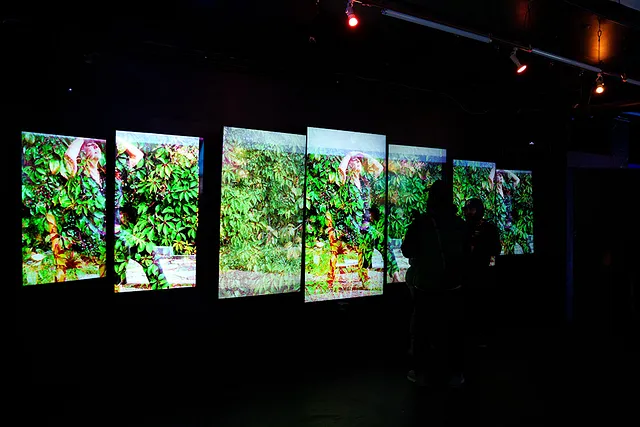 palm_collective_egalitarian_utopia_recap_24