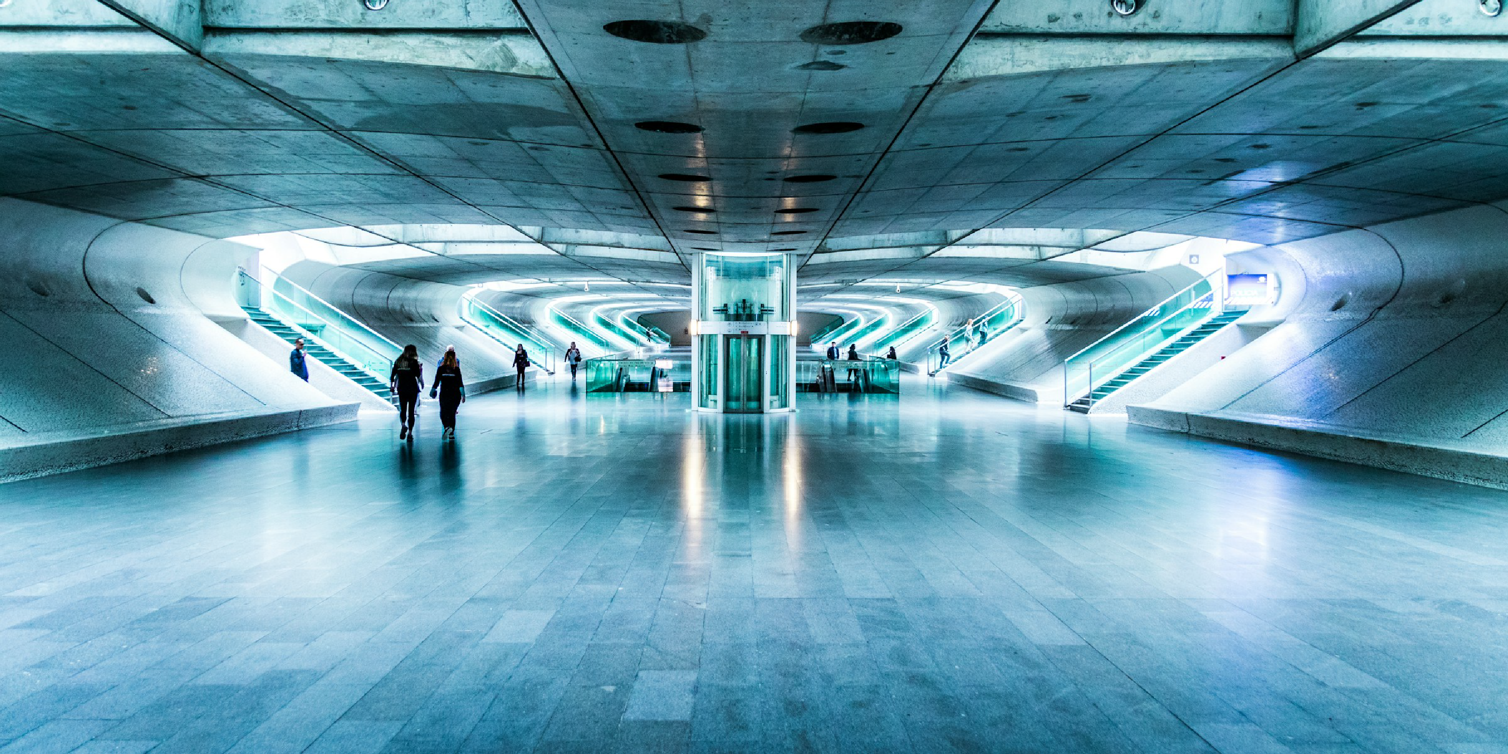 The Story of Palm Foundation: Building a Creative Web3 Community