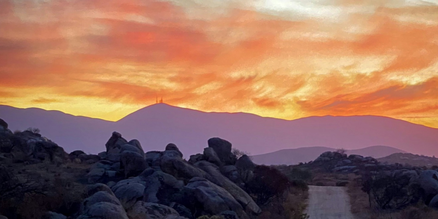 Supporting Emerging Artists: Palm Foundation & ZsONAMACO at El Patio