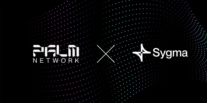 palm_network_x_sygma